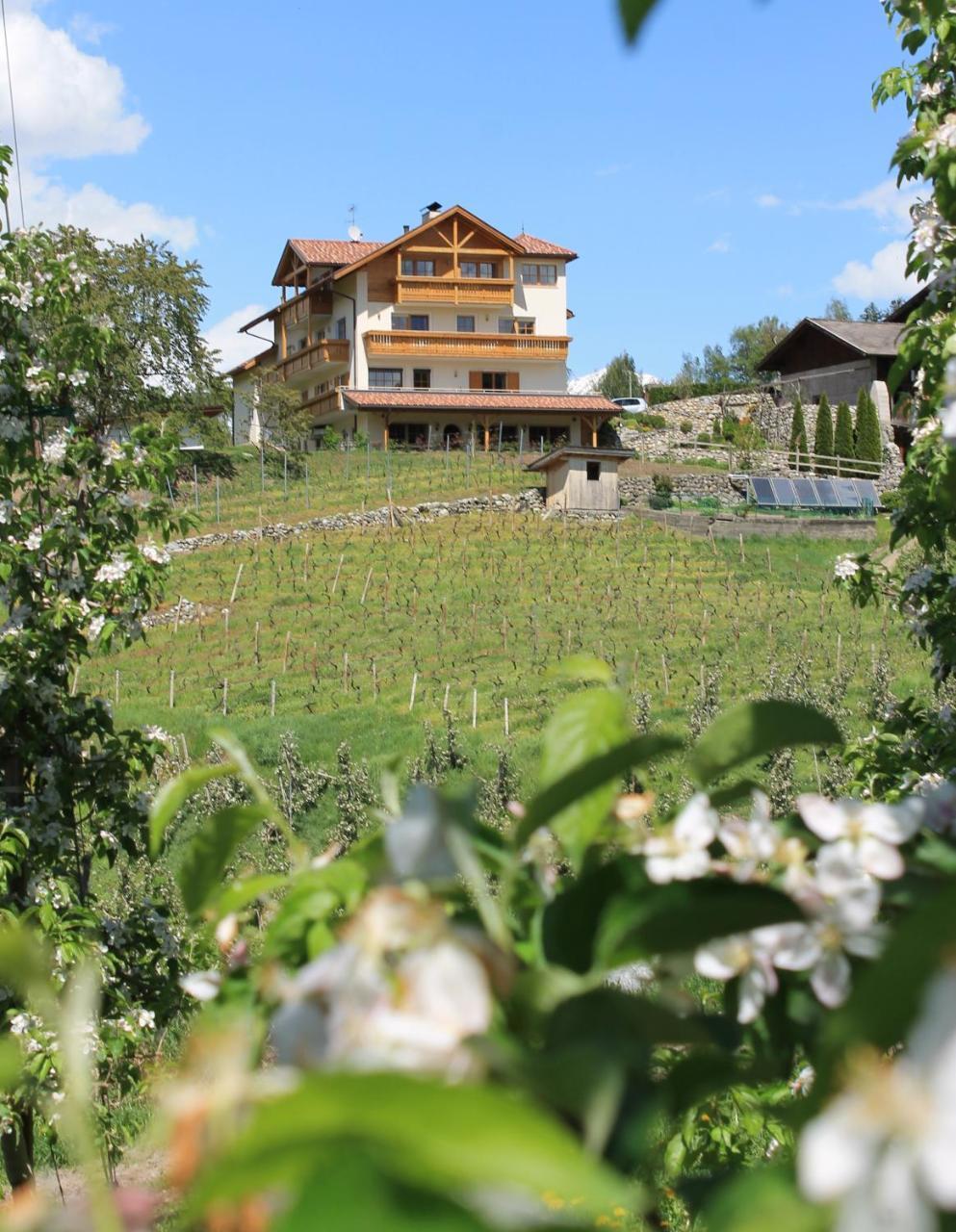 Natz-Schabs Trinnerhof- Hof Chalets Und Obsthof Mit Zimmer מראה חיצוני תמונה